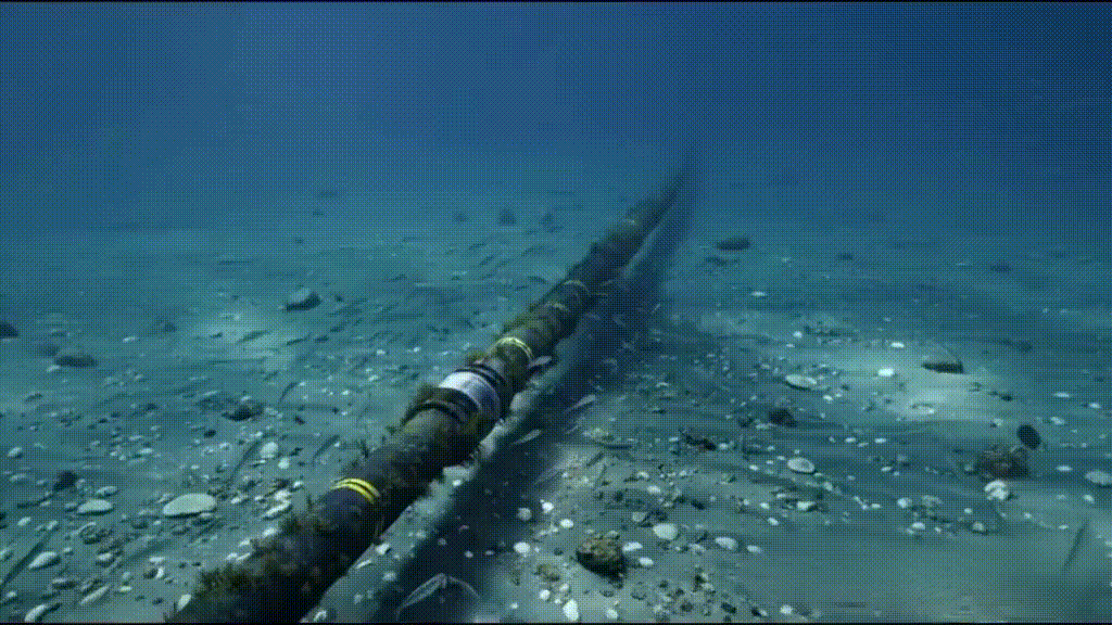 Submarine Cable Surveys